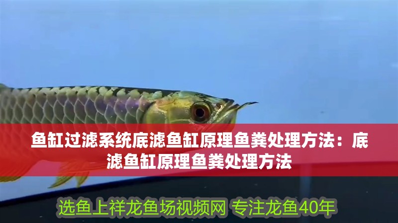 魚缸過濾系統底濾魚缸原理魚糞處理方法：底濾魚缸原理魚糞處理方法