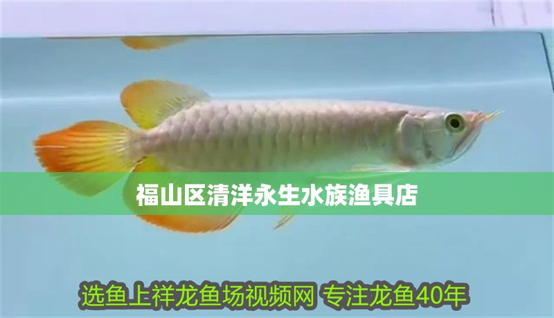 福山區清洋永生水族漁具店