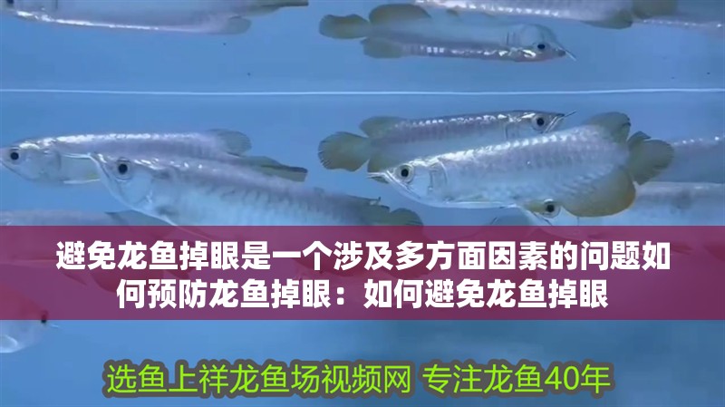 避免龍魚掉眼是一個涉及多方面因素的問題如何預防龍魚掉眼：如何避免龍魚掉眼