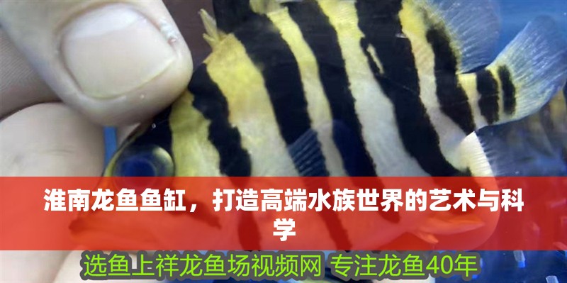 淮南龍魚魚缸，打造高端水族世界的藝術與科學