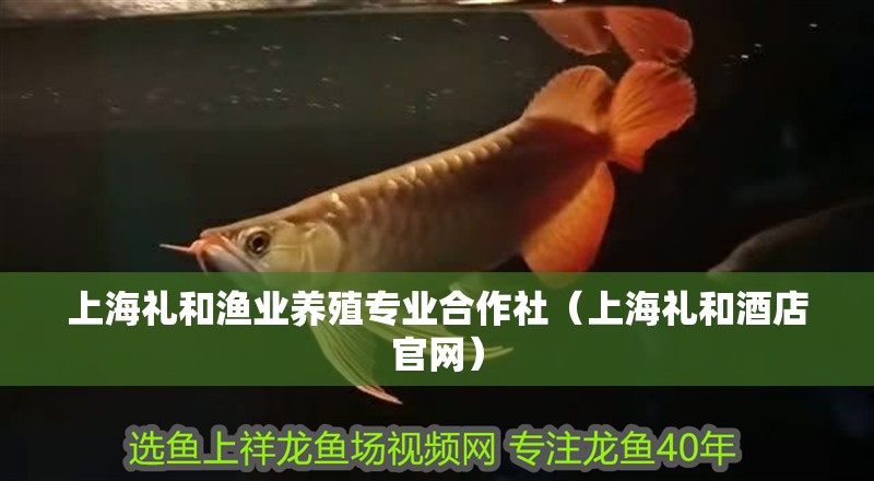 上海禮和漁業養殖專業合作社（上海禮和酒店官網）