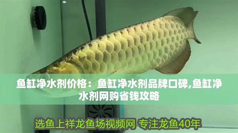 魚缸凈水劑價格：魚缸凈水劑品牌口碑,魚缸凈水劑網購省錢攻略