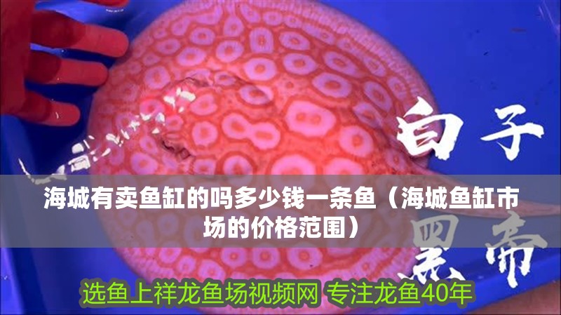 <strong><mark>海城</mark></strong>有賣魚缸的嗎多少錢一條魚（<strong><mark>海城</mark></strong>魚缸市場的價格范圍）