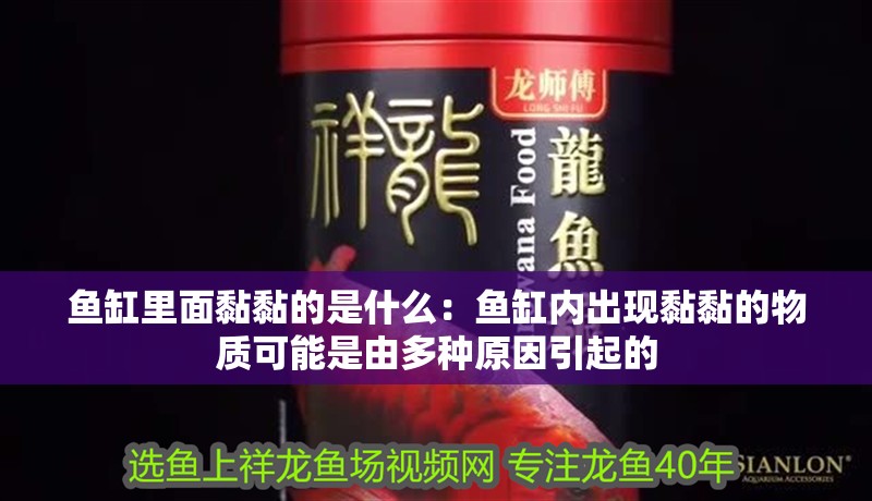 魚缸里面黏黏的是什么：魚缸內出現黏黏的物質可能是由多種原因引起的
