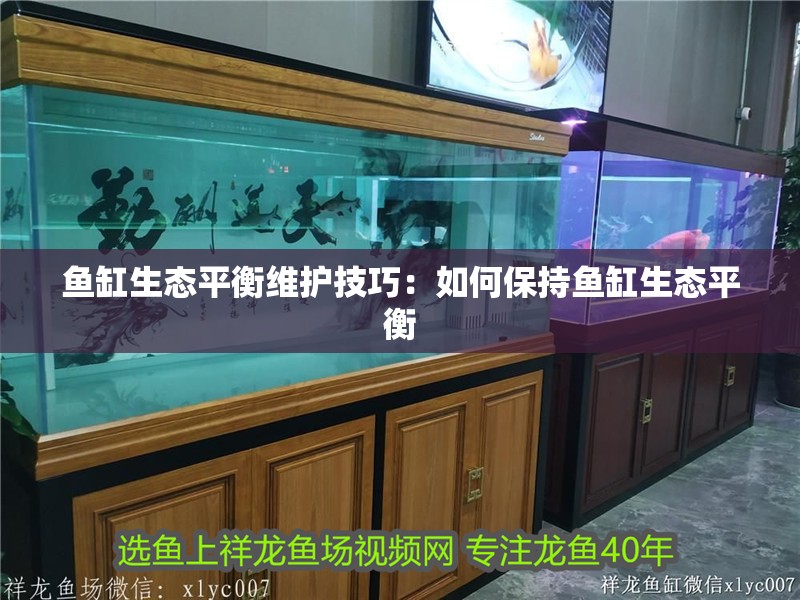 魚缸生態平衡維護技巧：如何保持魚缸生態平衡 魚缸生態平衡維護技巧：如何保持魚缸生態平衡 魚缸百科