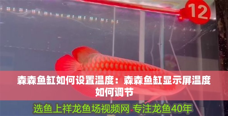 森森魚缸如何設置溫度：森森魚缸顯示屏溫度如何調節