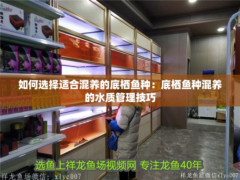 如何選擇適合混養(yǎng)的底棲魚種：底棲魚種混養(yǎng)的水質管理技巧