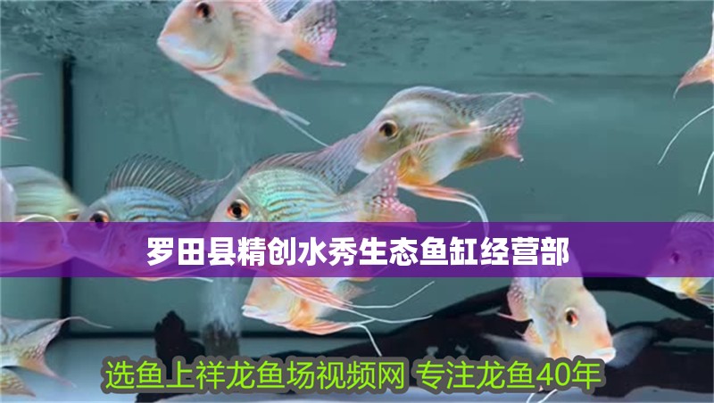 羅田縣精創(chuàng)水秀生態(tài)魚缸經(jīng)營部