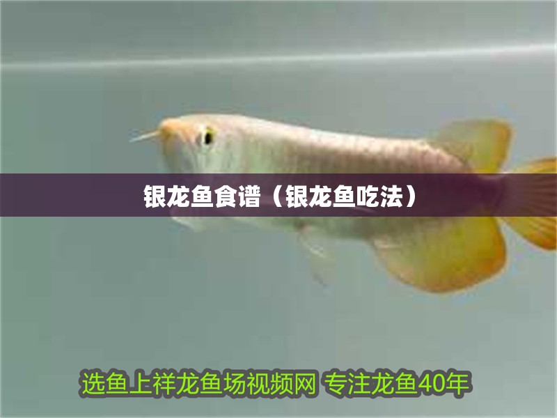 銀龍魚食譜（銀龍魚吃法）