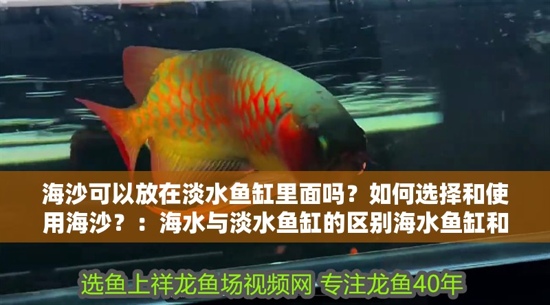 海沙可以放在淡水魚缸里面嗎？如何選擇和使用海沙？：海水與淡水魚缸的區別海水魚缸和淡水魚缸的區別