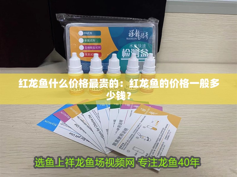 紅龍魚(yú)什么價(jià)格最貴的：紅龍魚(yú)的價(jià)格一般多少錢(qián)？