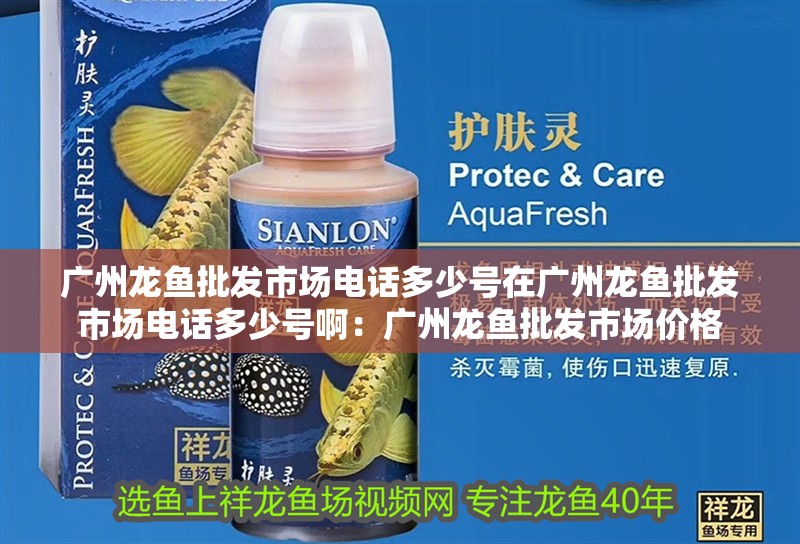 廣州龍魚批發市場電話多少號在廣州龍魚批發市場電話多少號?。簭V州龍魚批發市場價格