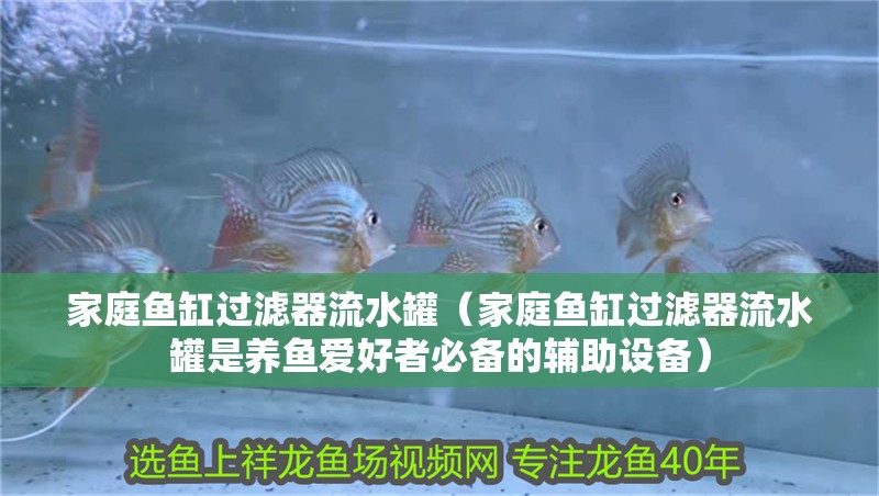 家庭魚缸過濾器流水罐（家庭魚缸過濾器流水罐是養魚愛好者必備的輔助設備）