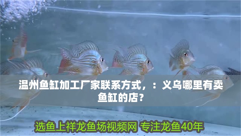 溫州魚缸加工廠家聯系方式，：義烏哪里有賣魚缸的店？