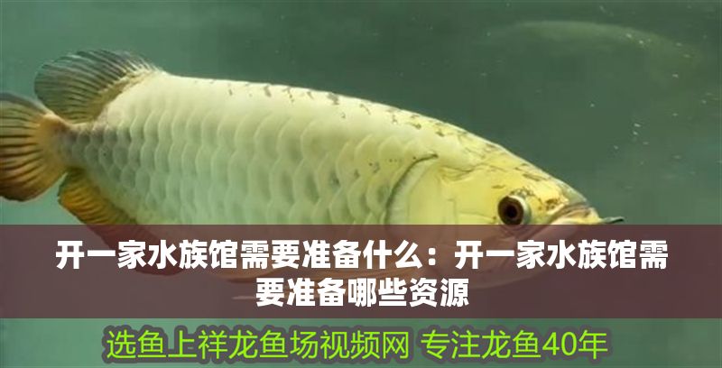 開一家水族館需要準備什么：開一家水族館需要準備哪些資源