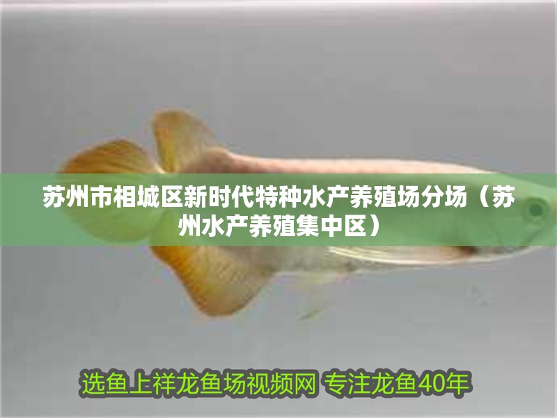 蘇州市相城區新時代特種水產養殖場分場（蘇州水產養殖集中區）