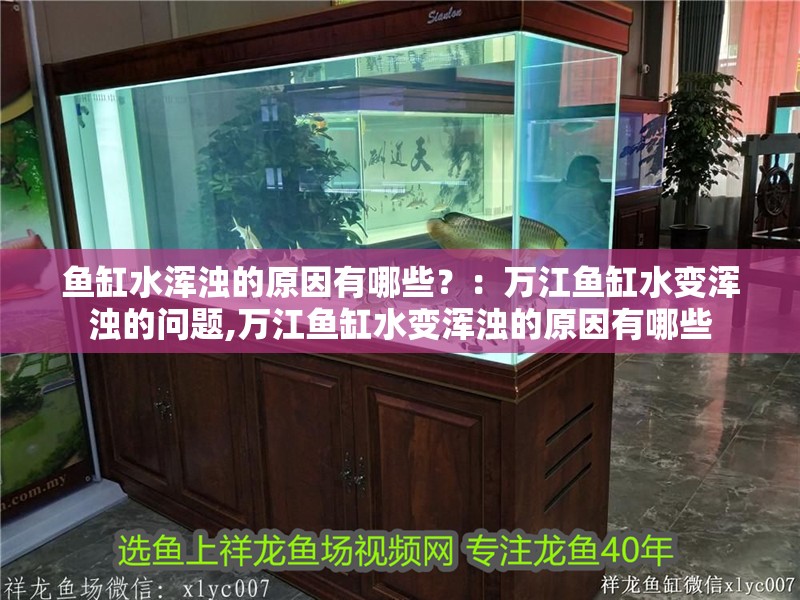 魚缸水渾濁的原因有哪些？：萬江魚缸水變渾濁的問題,萬江魚缸水變渾濁的原因有哪些