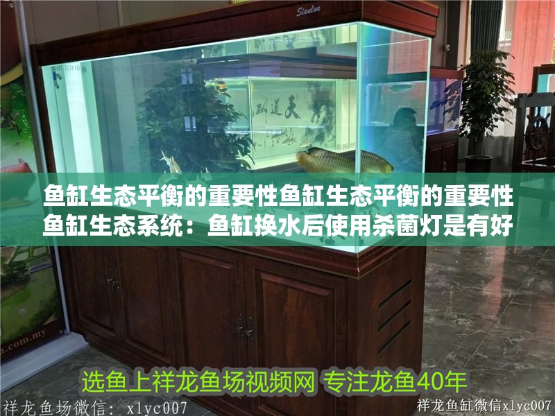 魚缸生態平衡的重要性魚缸生態平衡的重要性魚缸生態系統：魚缸換水后使用殺菌燈是有好處的