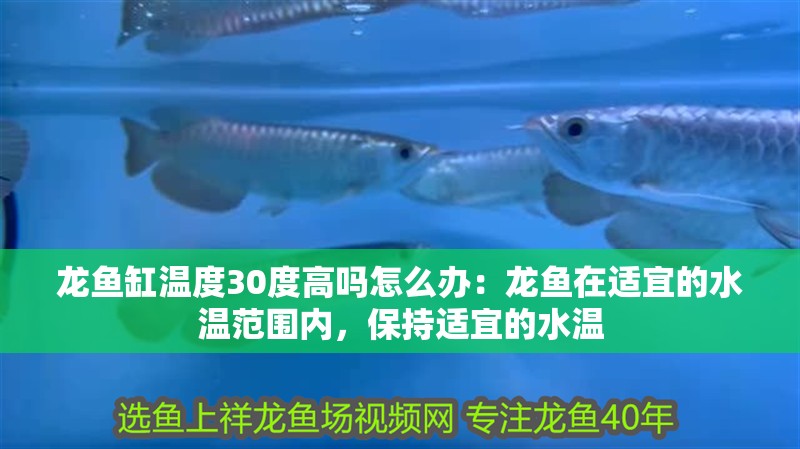 龍魚缸溫度30度高嗎怎么辦：龍魚在適宜的水溫范圍內(nèi)，保持適宜的水溫