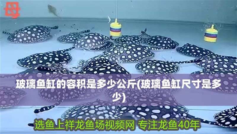 玻璃魚缸的容積是多少公斤(玻璃魚缸尺寸是多少)