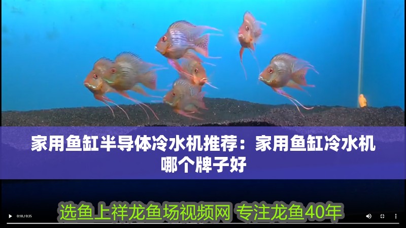 家用魚缸半導(dǎo)體冷水機推薦：家用魚缸冷水機哪個牌子好