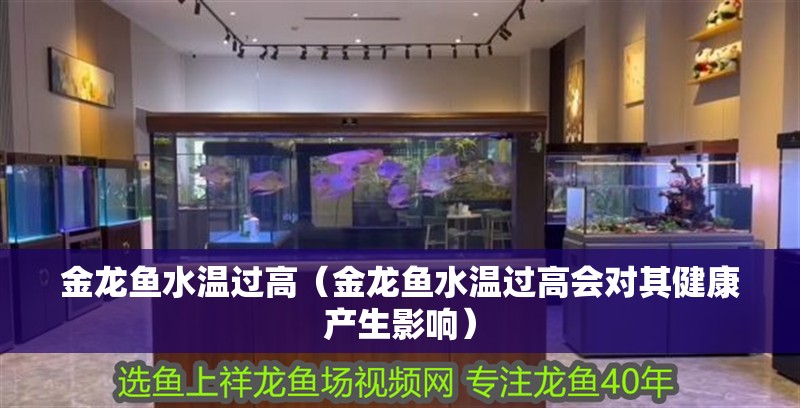 金龍魚水溫過高（金龍魚水溫過高會對其健康產生影響）