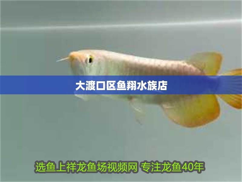 印尼虎魚多少溫度飼養(yǎng)最好:印尼虎魚多少溫度飼養(yǎng)最好印尼虎魚多少溫度飼養(yǎng)最好 大渡口區(qū)魚翔水族店 全國水族館企業(yè)名錄 大渡口區(qū)魚翔水族店 大渡口區(qū)魚翔水族店 全國水族館企業(yè)名錄