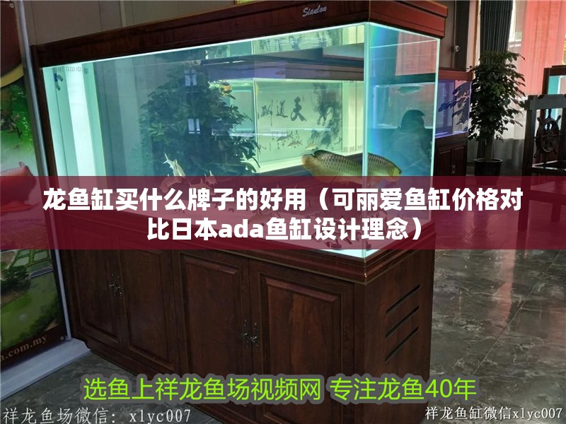龍魚缸買什么牌子的好用（可麗愛魚缸價格對比日本ada魚缸設計理念）