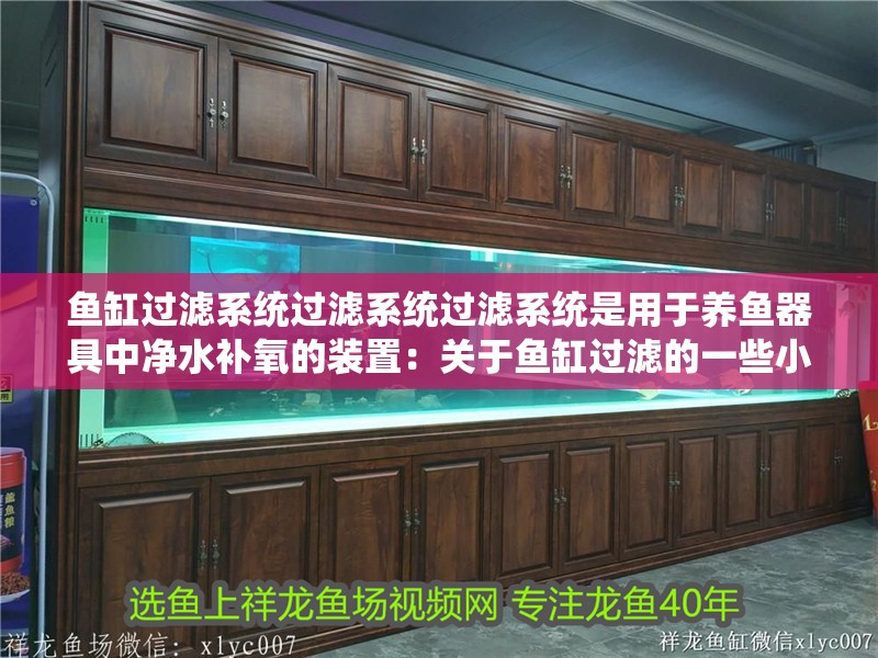 魚缸過濾系統(tǒng)過濾系統(tǒng)過濾系統(tǒng)是用于養(yǎng)魚器具中凈水補氧的裝置：關于魚缸過濾的一些小知識