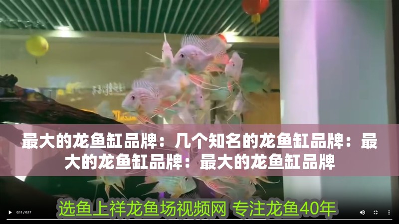 最大的龍魚缸品牌：幾個知名的龍魚缸品牌：最大的龍魚缸品牌：最大的龍魚缸品牌