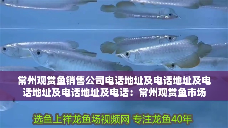 <strong><mark>常州</mark></strong>觀賞魚銷售公司電話地址及電話地址及電話地址及電話地址及電話：<strong><mark>常州</mark></strong>觀賞魚市場(chǎng)