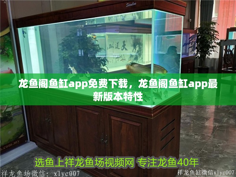 龍魚閣魚缸app免費下載，龍魚閣魚缸app最新版本特性