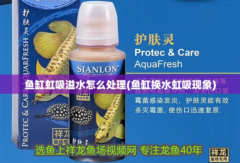 魚缸虹吸溢水怎么處理(魚缸換水虹吸現象)