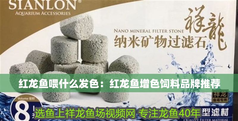 紅龍魚喂什么發色：紅龍魚增色飼料品牌推薦