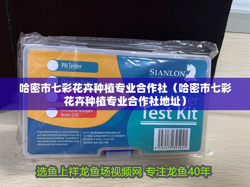 哈密市七彩花卉種植專業(yè)合作社（哈密市七彩花卉種植專業(yè)合作社地址）