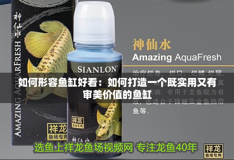 如何形容魚缸好看：如何打造一個既實用又有審美價值的魚缸