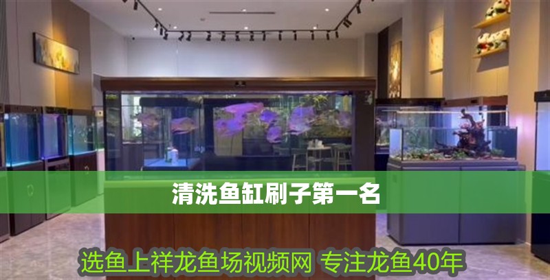 清洗魚缸刷子第一名