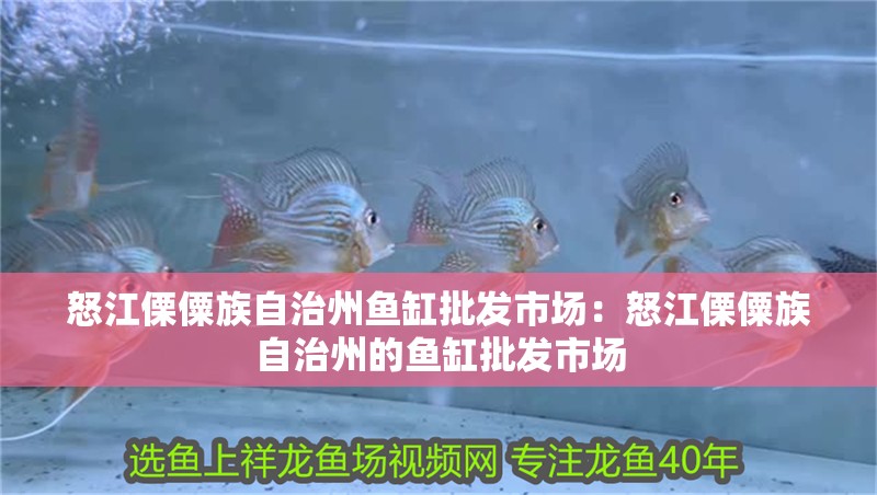 怒江傈僳族自治州魚缸批發市場：怒江傈僳族自治州的魚缸批發市場