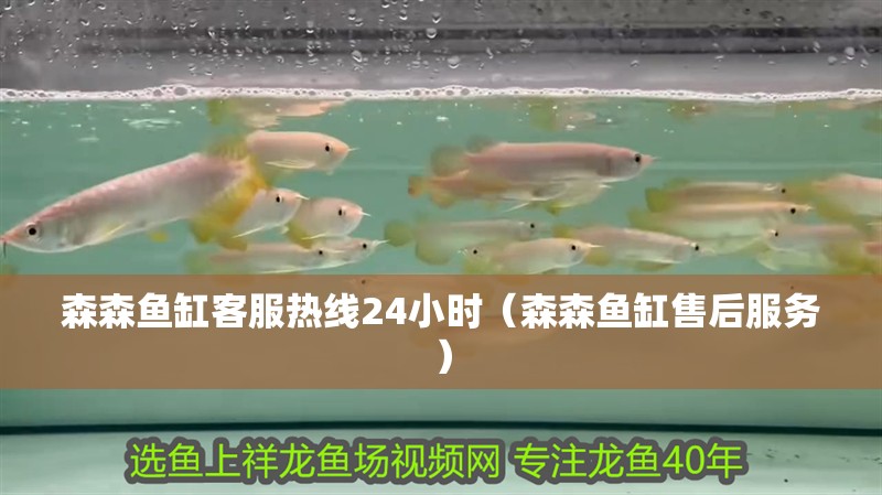 森森魚(yú)缸客服熱線24小時(shí)（森森魚(yú)缸售后服務(wù)）