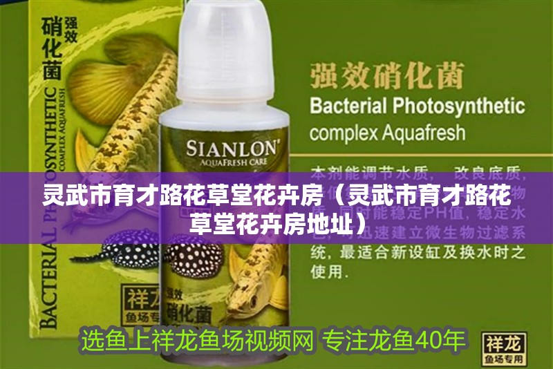 靈武市育才路花草堂花卉房（靈武市育才路花草堂花卉房地址）