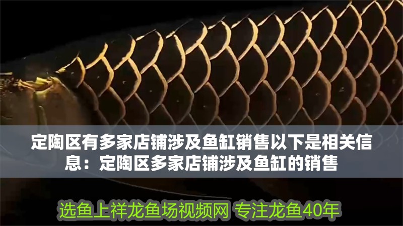 <strong><mark>定陶</mark></strong>區有多家店鋪涉及魚缸銷售以下是相關信息：<strong><mark>定陶</mark></strong>區多家店鋪涉及魚缸的銷售