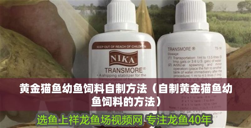 黃金貓魚幼魚飼料自制方法（自制黃金貓魚幼魚飼料的方法）
