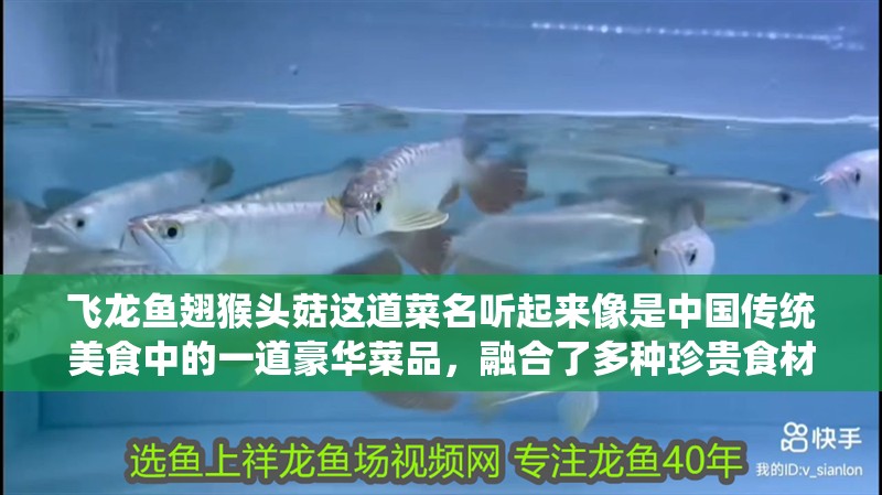 飛龍魚(yú)翅猴頭菇這道菜名聽(tīng)起來(lái)像是中國(guó)傳統(tǒng)美食中的一道豪華菜品，融合了多種珍貴食材（飛龍魚(yú)翅猴頭菇是中國(guó)傳統(tǒng)美食中的一道豪華菜品，融合多種珍貴食材）