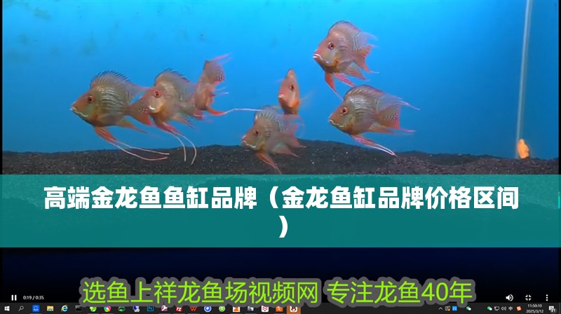 高端金龍魚魚缸品牌（金龍魚缸品牌價格區間）