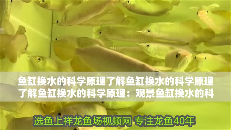 魚缸換水的科學原理了解魚缸換水的科學原理了解魚缸換水的科學原理：觀景魚缸換水的科學原理