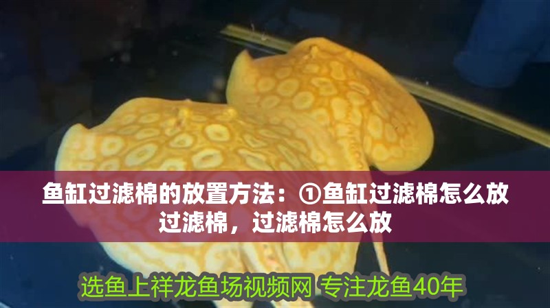 魚缸過濾棉的放置方法：①魚缸過濾棉怎么放過濾棉，過濾棉怎么放