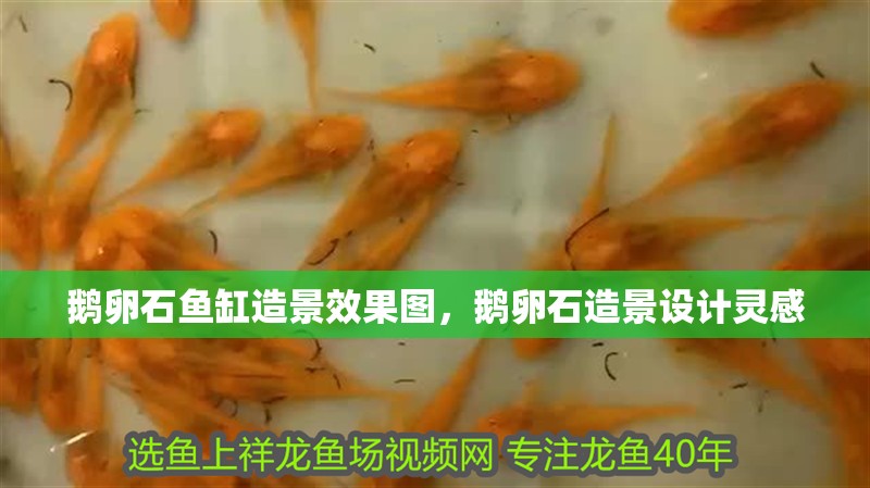 鵝卵石魚缸造景效果圖，鵝卵石造景設計靈感