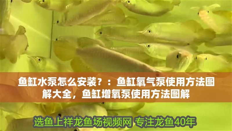 魚缸水泵怎么安裝？：魚缸氧氣泵使用方法圖解大全，魚缸增氧泵使用方法圖解