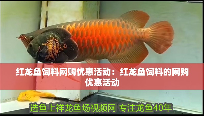 紅龍魚飼料網購優惠活動：紅龍魚飼料的網購優惠活動
