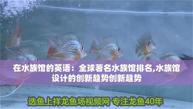 詳細閱讀:在水族館的英語:全球著名水族館排名,水族館設計的創新趨勢創新趨勢 在水族館的英語:全球著名水族館排名,水族館設計的創新趨勢創新趨勢